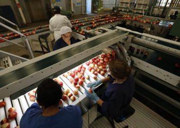 Chile será el primer país del mundo con certificación fitosanitaria 100% digital con China