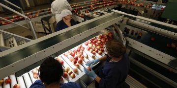 Chile será el primer país del mundo con certificación fitosanitaria 100% digital con China