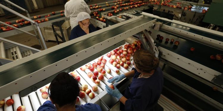 Chile será el primer país del mundo con certificación fitosanitaria 100% digital con China