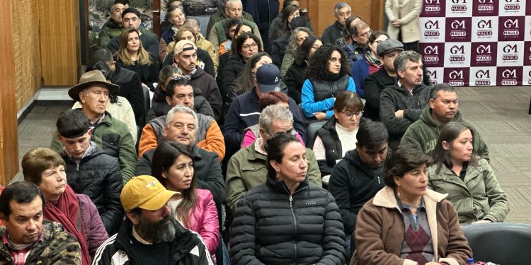 Seminario reunió en Talca a expertos y productores para fortalecer la apicultura regional