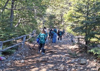 Conaf, INJUV y Universidad Santo Tomás conmemoraron el Día de la Tierra con jornada de voluntariado en Altos de Lircay