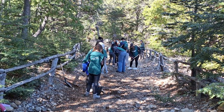Conaf, INJUV y Universidad Santo Tomás conmemoraron el Día de la Tierra con jornada de voluntariado en Altos de Lircay