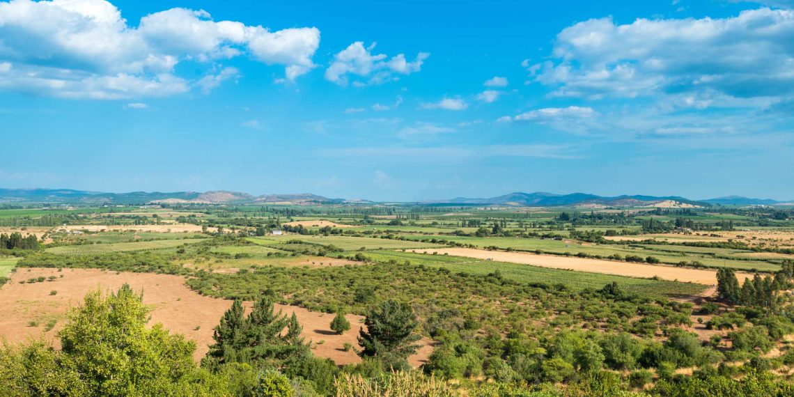 Investigación impulsa la nanotecnología para potenciar una agricultura más sostenible en Chile