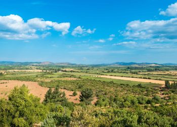 Investigación impulsa la nanotecnología para potenciar una agricultura más sostenible en Chile