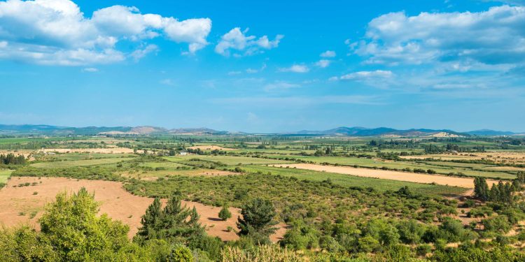 Investigación impulsa la nanotecnología para potenciar una agricultura más sostenible en Chile