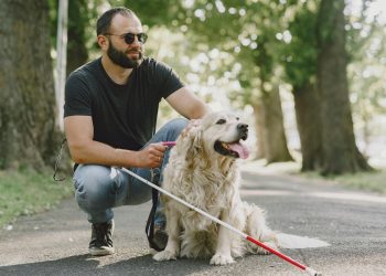 Día Mundial del Perro Guía: Huellas que iluminan el camino