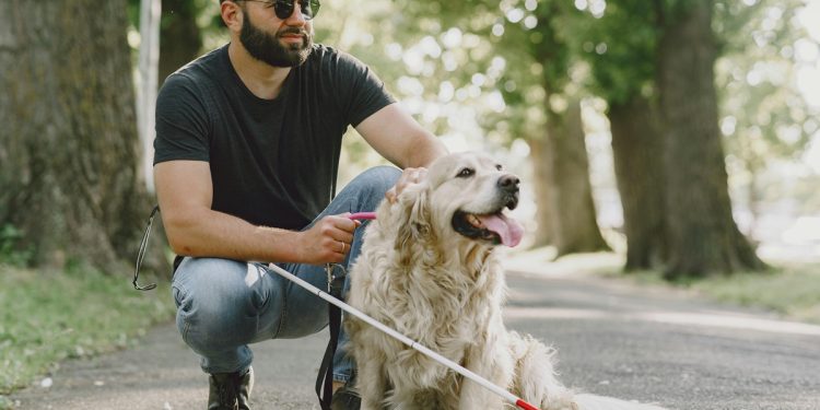 Día Mundial del Perro Guía: Huellas que iluminan el camino