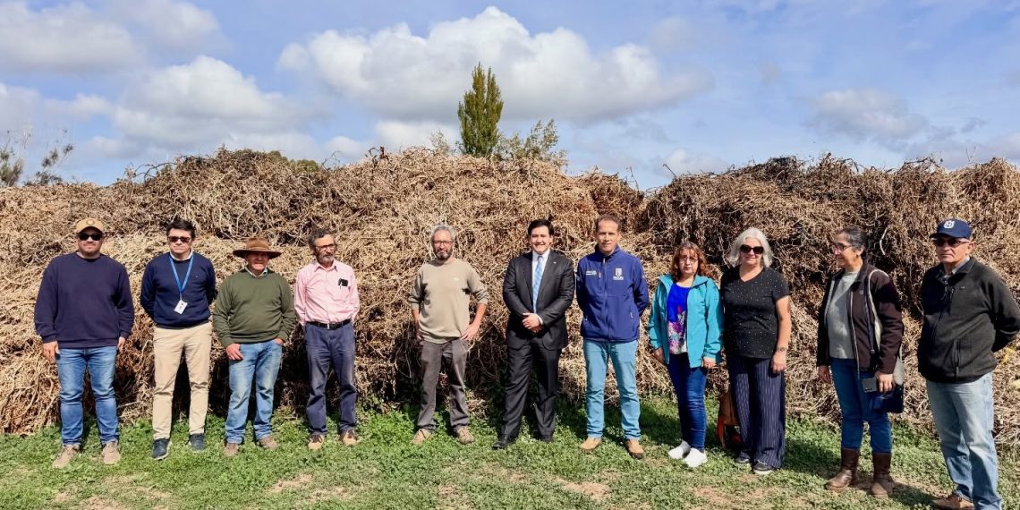 Fondo de Protección Ambiental fomentó Planta de Compostaje de Residuos Agrícolas en Maule