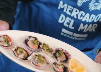 Ampliación de postulaciones: Hasta 2 millones y medio de pesos por proyecto financia el Indespa para impulsar el emprendimiento de mujeres de la pesca artesanal