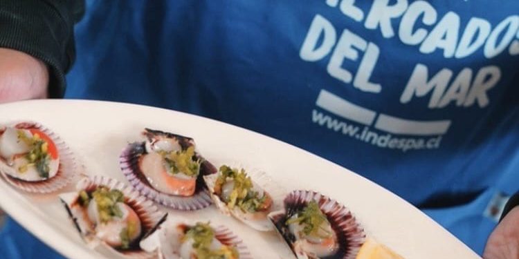 Ampliación de postulaciones: Hasta 2 millones y medio de pesos por proyecto financia el Indespa para impulsar el emprendimiento de mujeres de la pesca artesanal