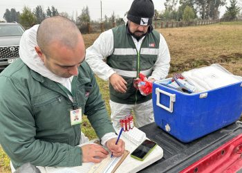 SAG destaca trabajo realizado en Brucelosis Bovina al ser provisionalmente libres de la enfermedad