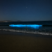 Guanaqueros se ilumina de azul: el fenómeno natural que sorprende y atrae miradas