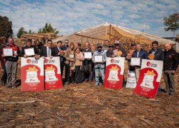Ministerio de Energía suma cinco Sellos Calidad de Leña en el Maule y reconoce a productores locales