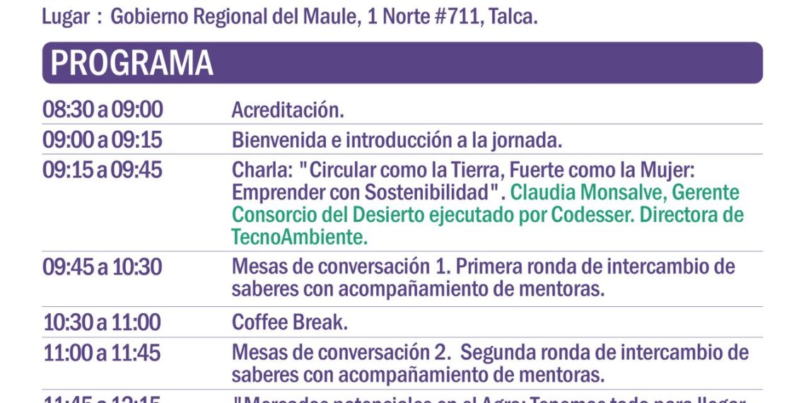 Cumbre Mil Mujeres Maule presenta programación oficial del encuentro