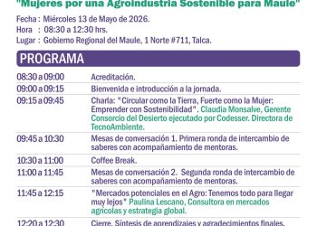 Cumbre Mil Mujeres Maule presenta programación oficial del encuentro