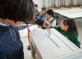 Escuela Rosita O’Higgins realiza inédita elección de Centro de Estudiantes junto a SERVEL y SLEP Maule Costa