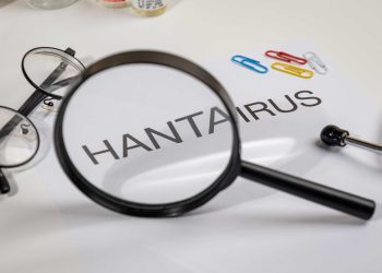 Investigador UCM advierte posibles escenarios de propagación del hantavirus entre personas