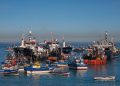 Pescadores Industriales del Biobío despliegan esfuerzos para “encontrar” el jurel y manifiestan preocupación por efectos económicos y laborales
