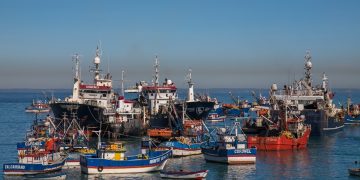 Pescadores Industriales del Biobío despliegan esfuerzos para “encontrar” el jurel y manifiestan preocupación por efectos económicos y laborales
