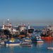 Pescadores Industriales del Biobío despliegan esfuerzos para “encontrar” el jurel y manifiestan preocupación por efectos económicos y laborales