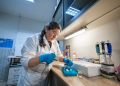 Investigan derivado del Omega 3 que podría atenuar daño hepático por diabetes