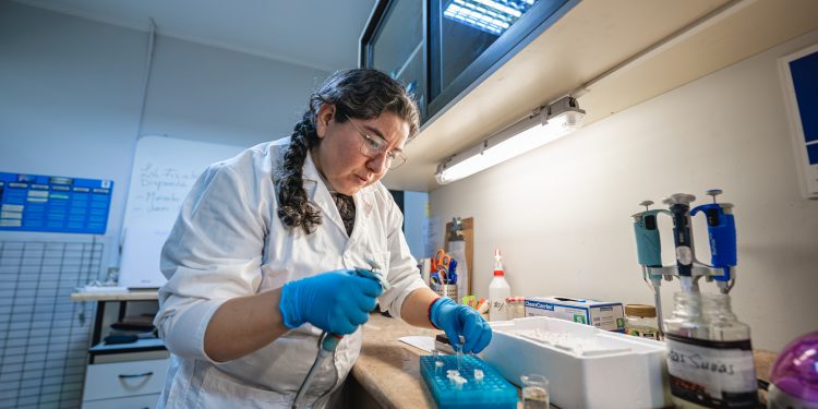 Investigan derivado del Omega 3 que podría atenuar daño hepático por diabetes