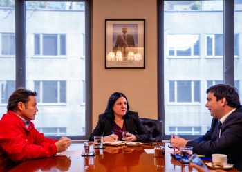 Gobernador y delegado se reúnen con ministra Steinert para fortalecer seguridad y concretar escuela de Carabineros en el Maule