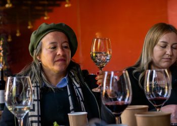 Vino, identidad y territorio: PTI Maule inicia ciclo de capacitaciones en enoturismo
