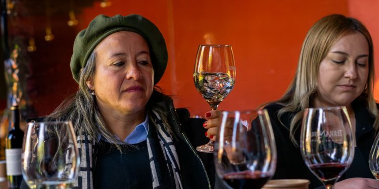 Vino, identidad y territorio: PTI Maule inicia ciclo de capacitaciones en enoturismo