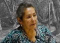 Caso María Ignacia González: Encuentran patente de la desaparecida concejala de Villa Alegre en el río Loncomilla