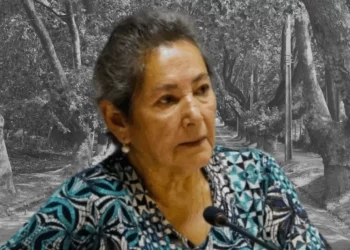 Caso María Ignacia González: Encuentran patente de la desaparecida concejala de Villa Alegre en el río Loncomilla