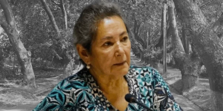 Caso María Ignacia González: Encuentran patente de la desaparecida concejala de Villa Alegre en el río Loncomilla
