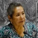 Caso María Ignacia González: Encuentran patente de la desaparecida concejala de Villa Alegre en el río Loncomilla