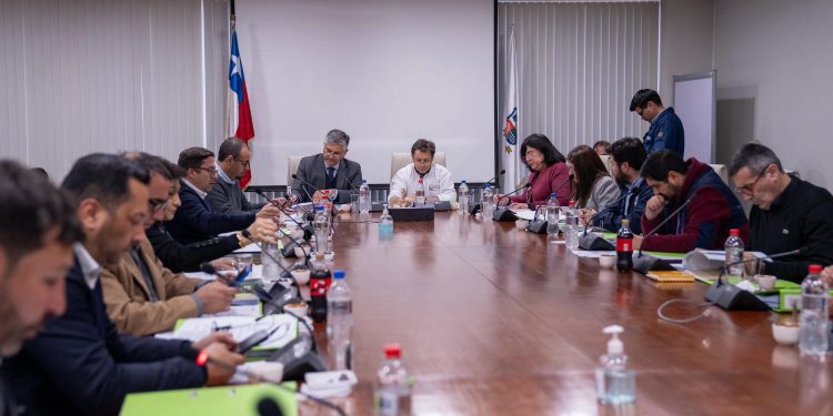 Consejeros regionales del Maule participan en encuentro internacional en España para fortalecer redes de desarrollo e innovación