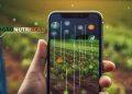 INIA desarrolla innovador “Reporte Digital” para optimizar la calidad y exportación de arándanos chilenos