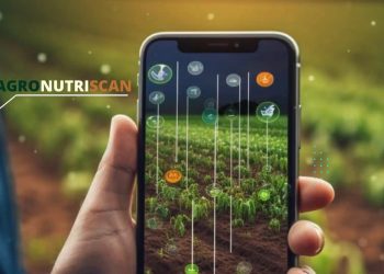 INIA desarrolla innovador “Reporte Digital” para optimizar la calidad y exportación de arándanos chilenos