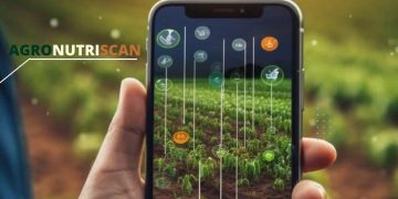 INIA desarrolla innovador “Reporte Digital” para optimizar la calidad y exportación de arándanos chilenos