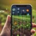 INIA desarrolla innovador “Reporte Digital” para optimizar la calidad y exportación de arándanos chilenos
