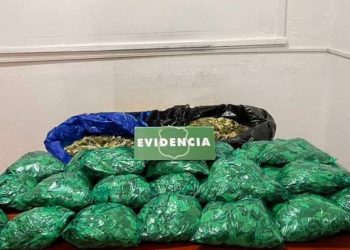 Decomisan 18 kilos de hojas de coca en centro de Talca: 2 detenidas