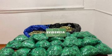 Decomisan 18 kilos de hojas de coca en centro de Talca: 2 detenidas