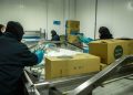 Empleo joven en el Maule evidencia menor participación laboral y brechas salariales
