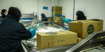 Empleo joven en el Maule evidencia menor participación laboral y brechas salariales
