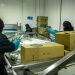 Empleo joven en el Maule evidencia menor participación laboral y brechas salariales