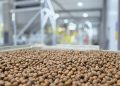 Nefuen y Grupo Hijuelas inauguran en Osorno la planta de procesamiento de avellano más austral del mundo