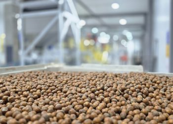 Nefuen y Grupo Hijuelas inauguran en Osorno la planta de procesamiento de avellano más austral del mundo