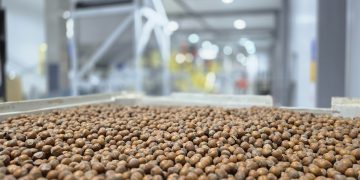 Nefuen y Grupo Hijuelas inauguran en Osorno la planta de procesamiento de avellano más austral del mundo