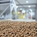 Nefuen y Grupo Hijuelas inauguran en Osorno la planta de procesamiento de avellano más austral del mundo