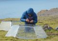 Lanzan proyecto que busca anticipar el impacto de especies invasoras en la Antártica