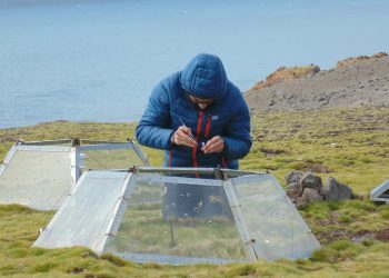 Lanzan proyecto que busca anticipar el impacto de especies invasoras en la Antártica