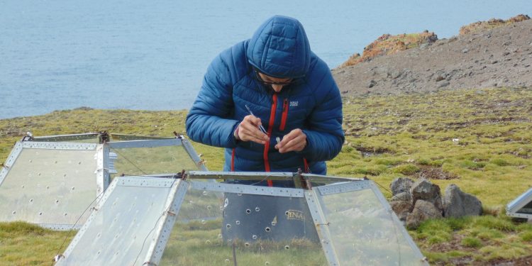 Lanzan proyecto que busca anticipar el impacto de especies invasoras en la Antártica